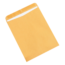 Clasp Envelopes - F06-0112879 - 11 1/2