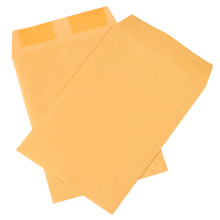 Gummed Envelopes - F06-0112888 - 7 1/2