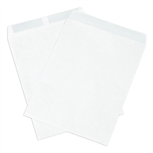 Gummed Envelopes - F06-0112894 - 10