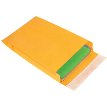 Self-Seal Envelopes - Expandable - F06-0112926 - 5