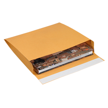 Self-Seal Envelopes - Expandable - F06-0112928 - 10