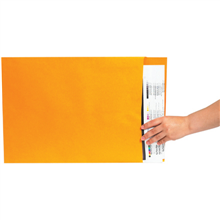 Jumbo Envelopes - F06-0112947 - 17