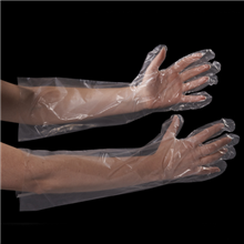 Food Service Gloves - 264-0114207 - Clear Poly Gloves 18