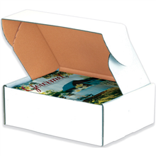 Deluxe Literature Mailers - 231-0115621 - 10