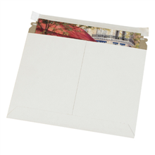 White Utility Flat Mailers - 232-0116338 - 11 1/2